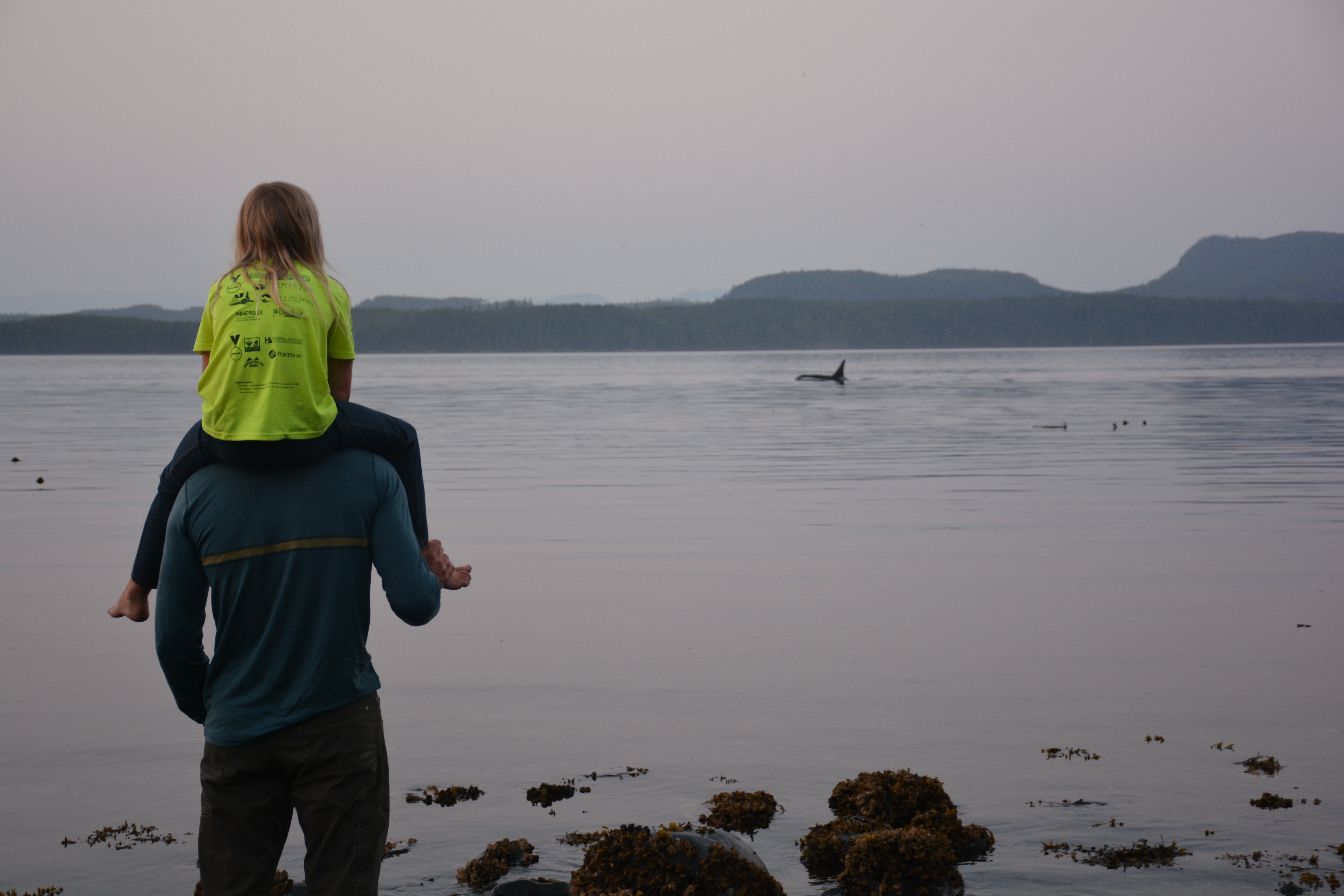 orcas, johnstone straight, johnstone straight with kids, family kayak, johnstone staight kayak with kids